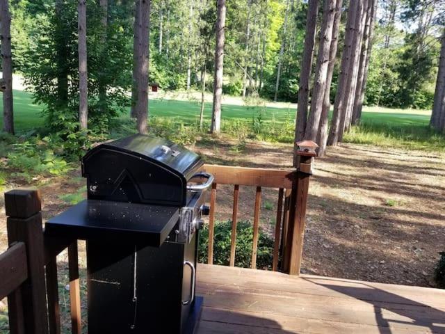 Crystal Mountain Cabin-Shuttle Pass Included! Thompsonville Exterior photo